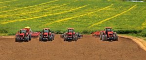 belarus minsk tractor works angola